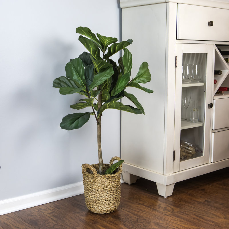 Joss & Main 30'' Faux Fiddle Leaf Fig Tree in Glass Basket & Reviews Wayfair